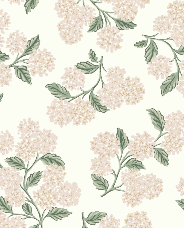 Preview: Hydrangea RP7393 Rose