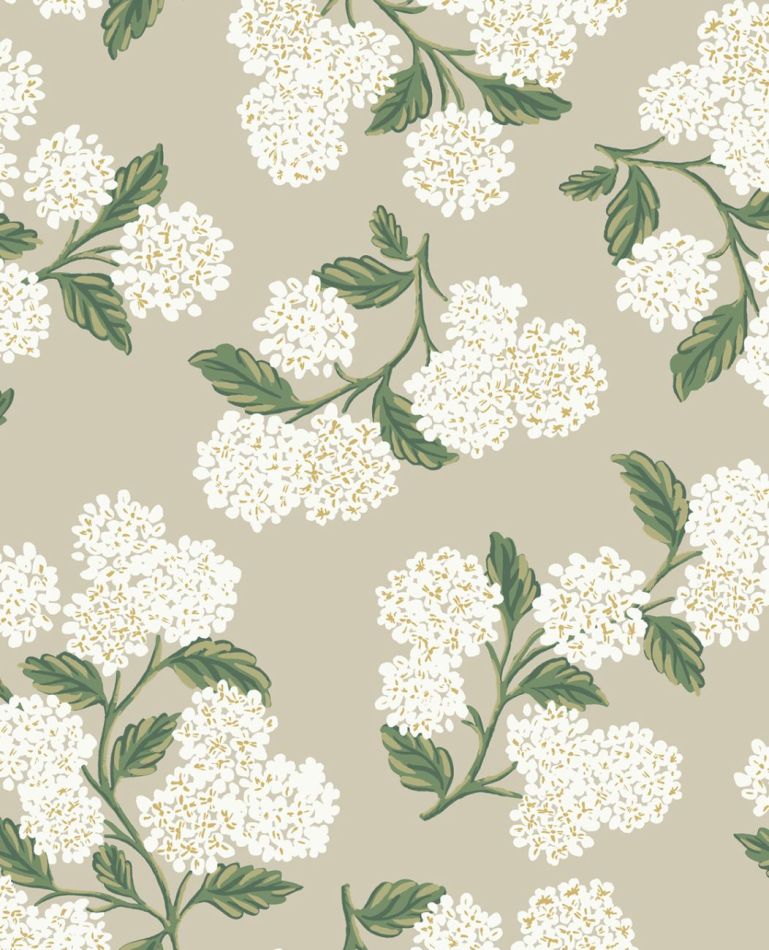 Preview: Hydrangea RP7394 Beige