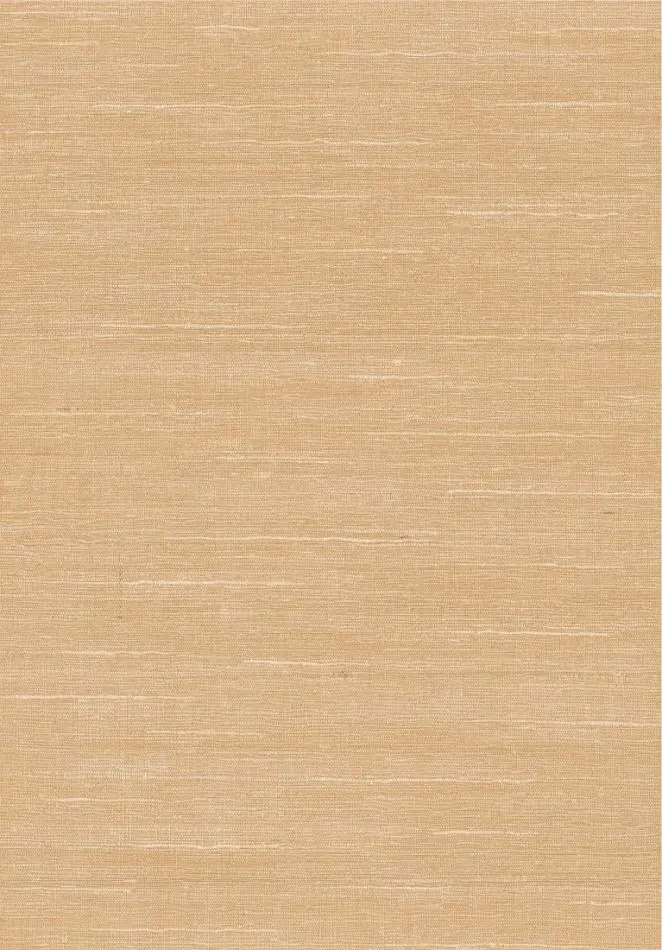 Selvage 55112 Beach