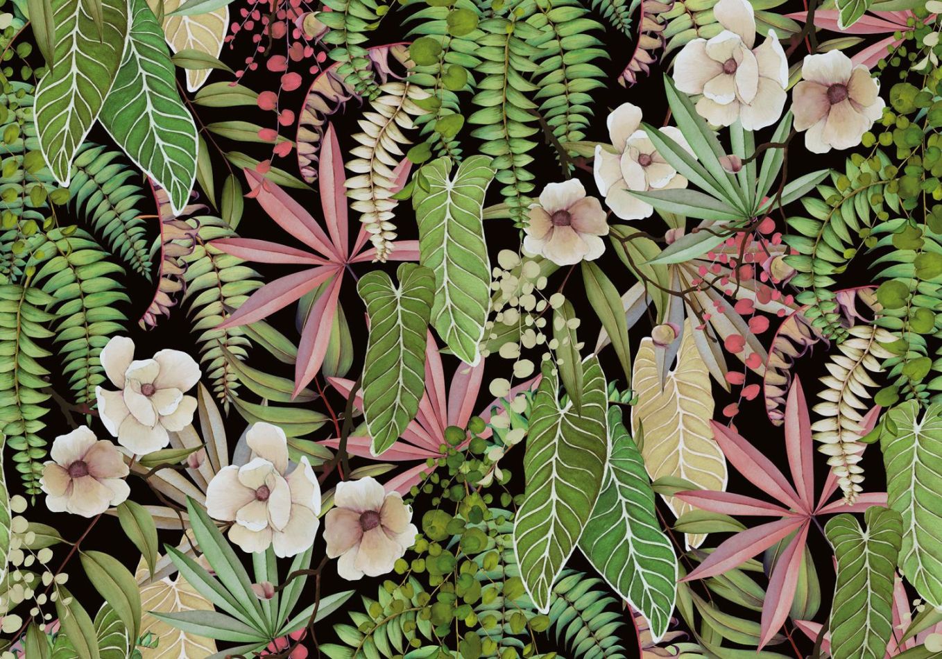 Preview: Señorita BL4-057