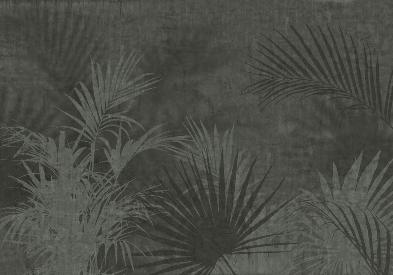 Preview: Sonambulo BL4-060