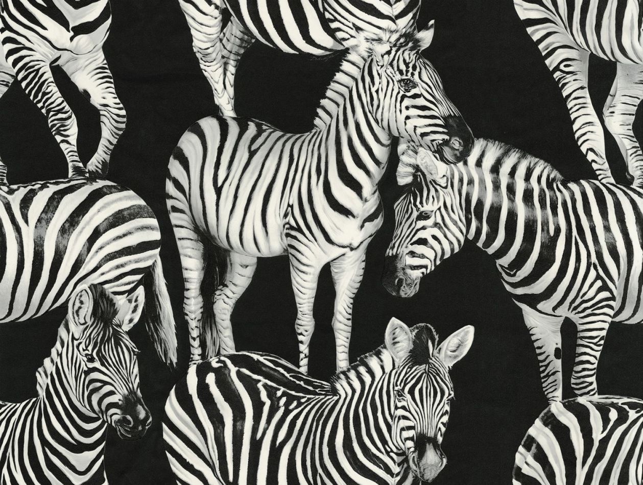 Preview: Zebra Paradise