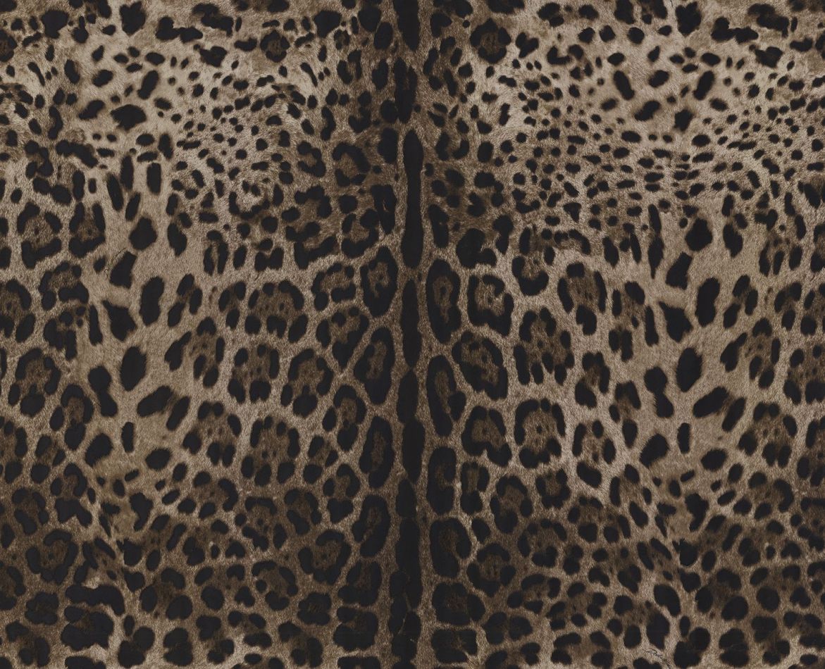 Preview: Leopardo