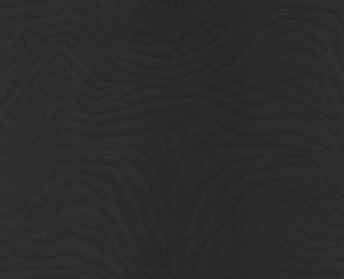 Preview: Zebra Black