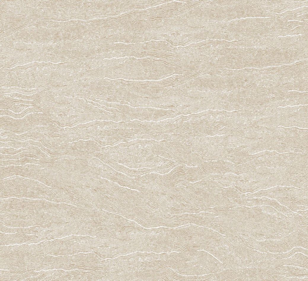 Preview: Miri Koalin TER008