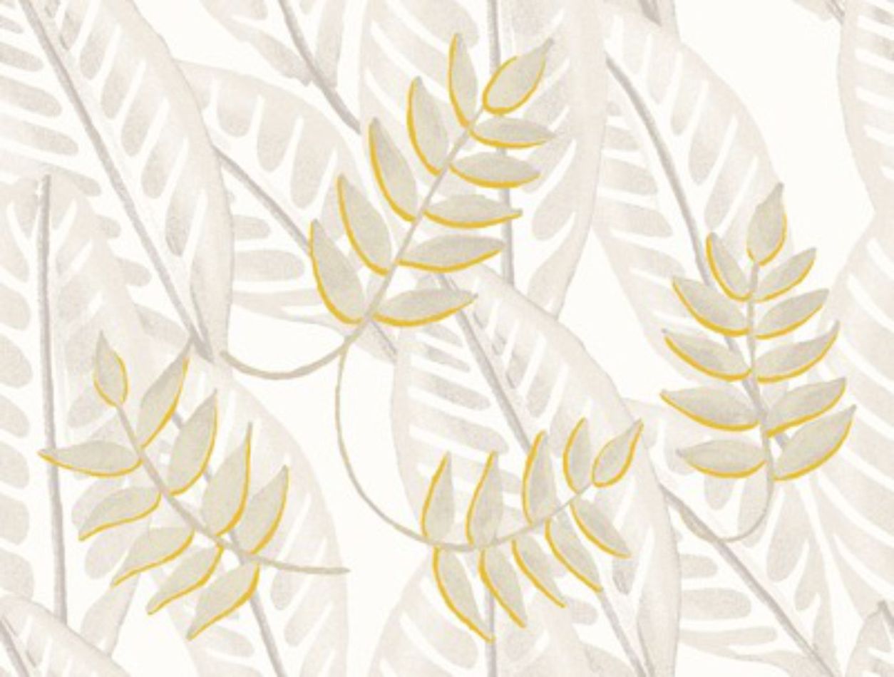 Preview: Alocasia TP302 01