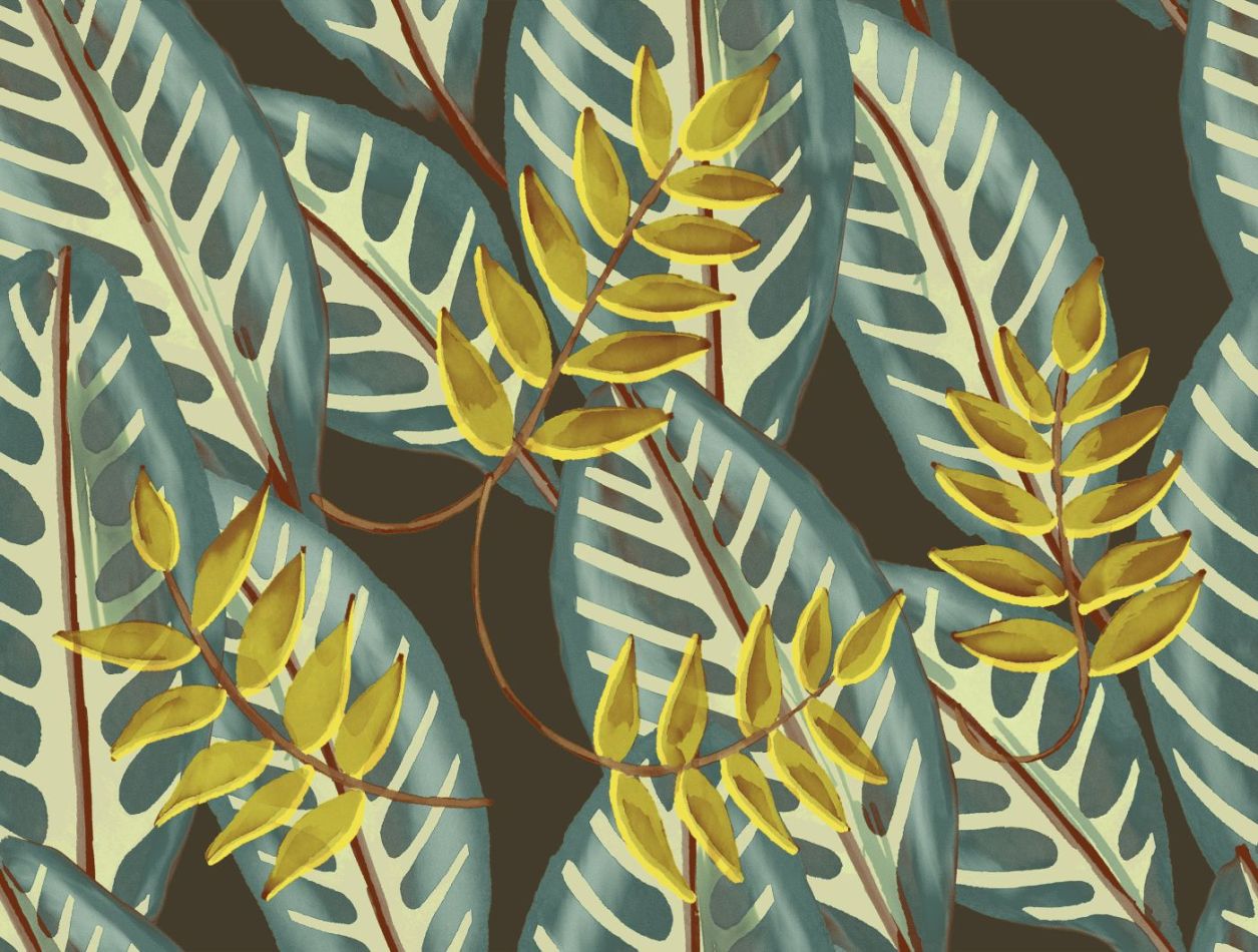 Preview: Alocasia TP302 03