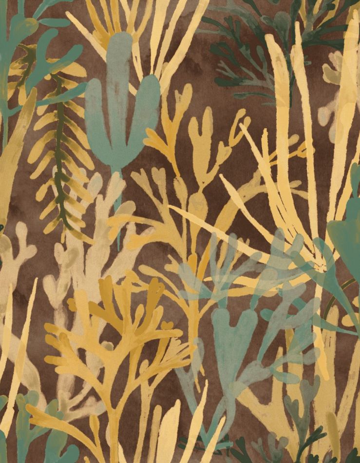 Preview: Algues TP303 05