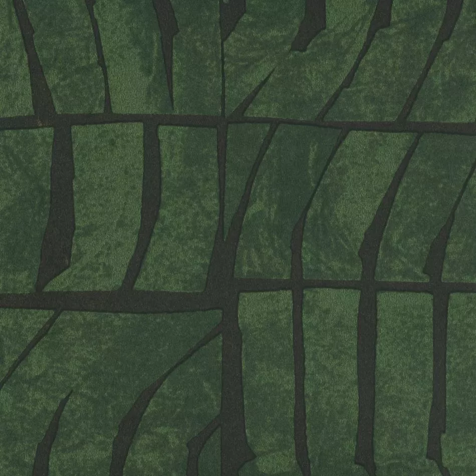 Ondes TP328 05 Aux sources du nil