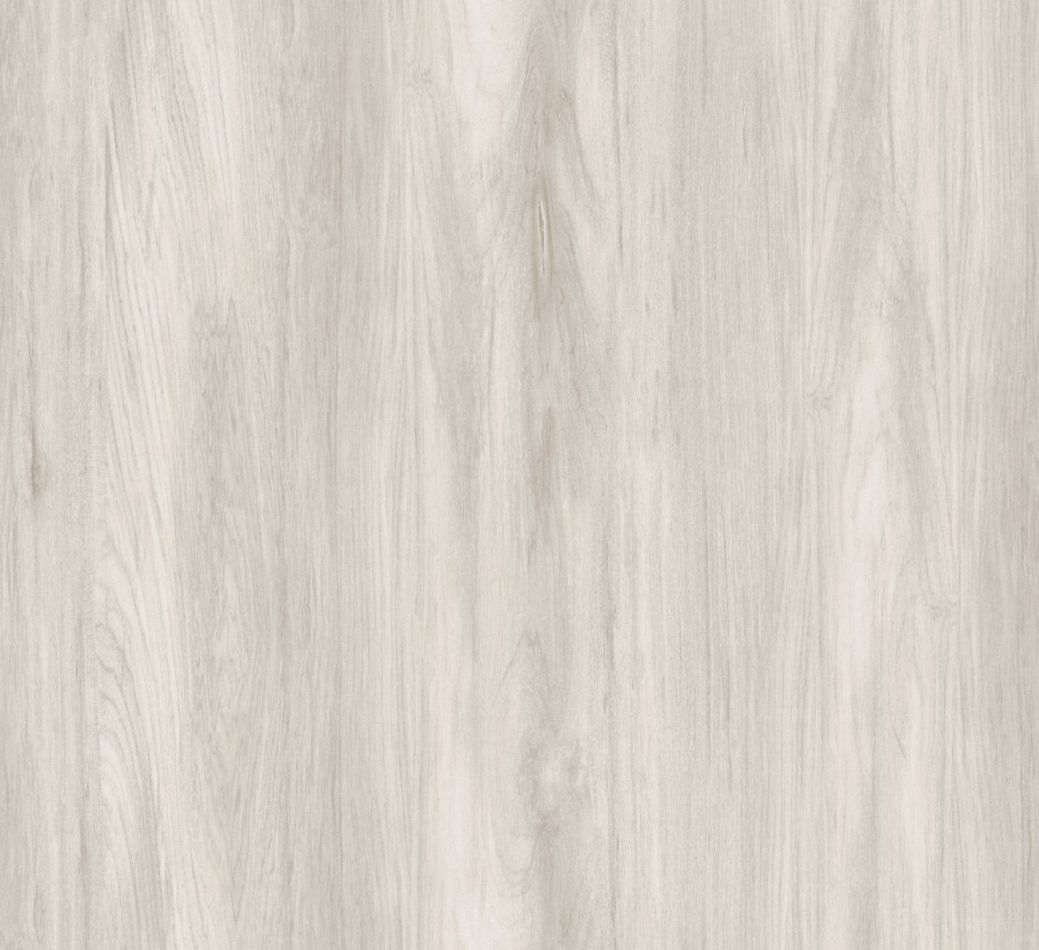 Preview: Sugi Beech TRA301