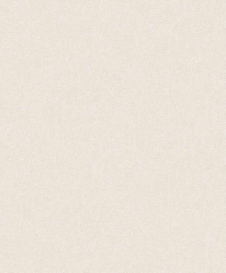 Preview: Goanna TUL504 Oyster