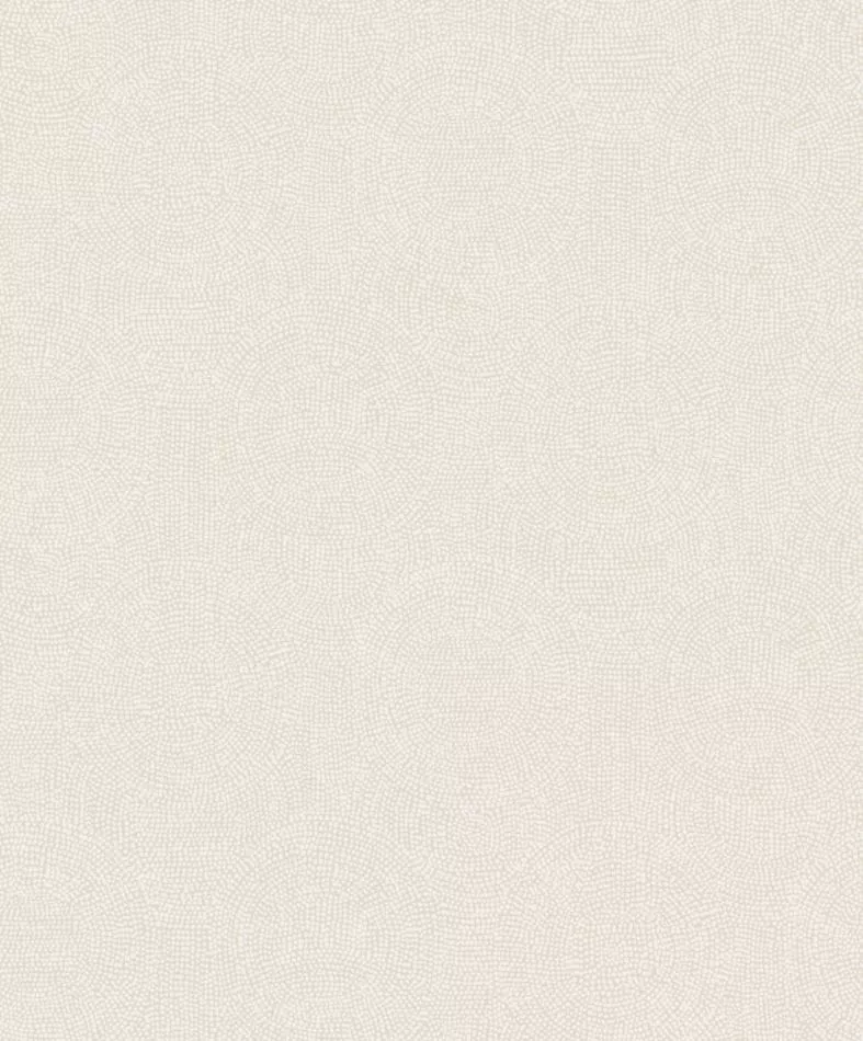 Goanna TUL504 Oyster