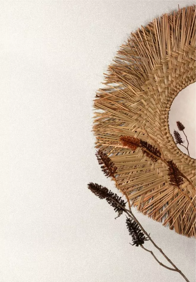 Goanna TUL504 Oyster