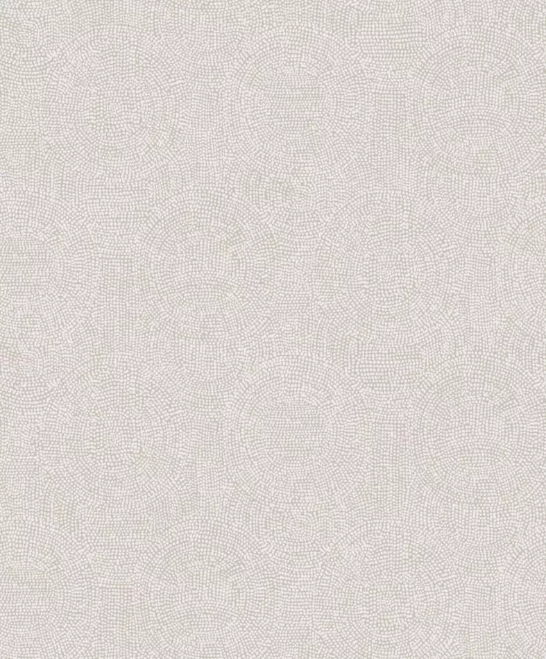 Goanna TUL506 Silver