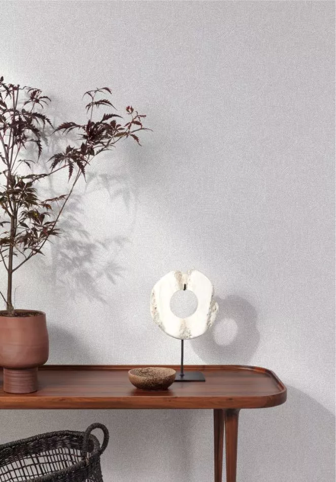 Goanna TUL506 Silver