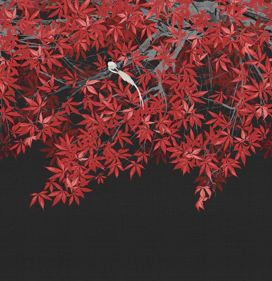 Preview: Tsukesage KMN20-C