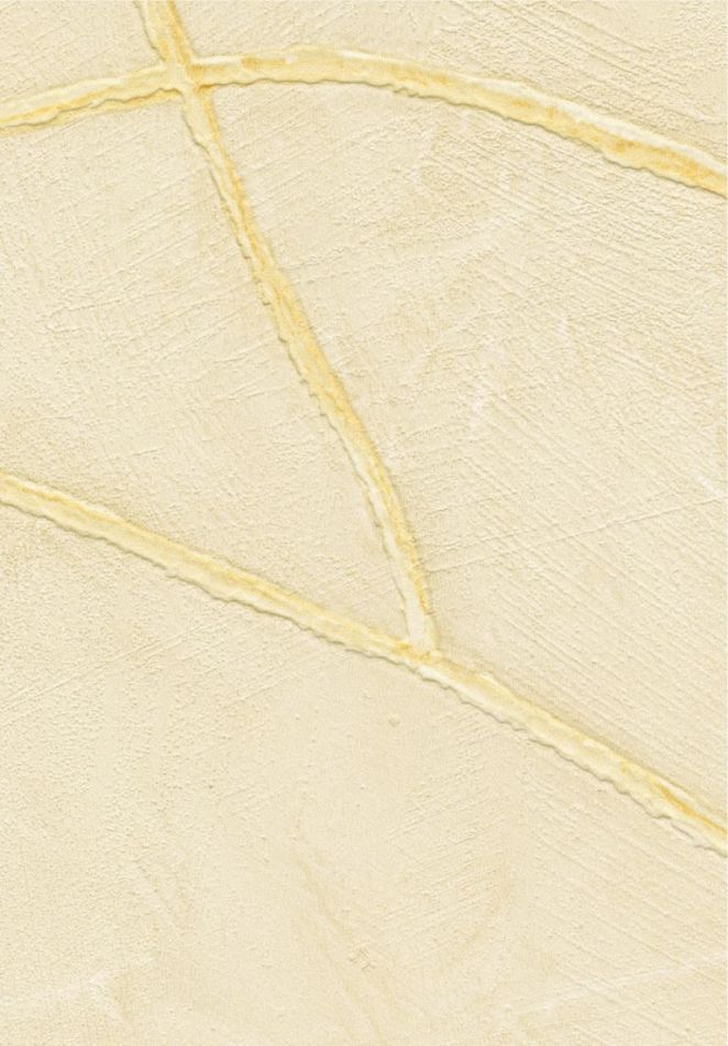 Preview: Kintsugi VP1004 04 Précieuse alchimie