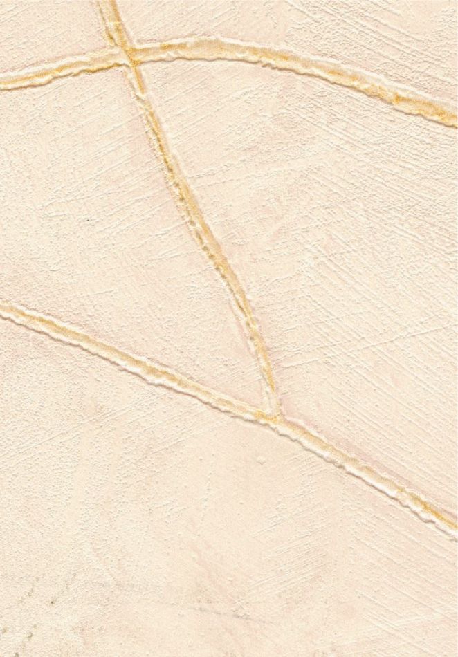 Preview: Kintsugi VP1004 52 Poursuite de la perfection