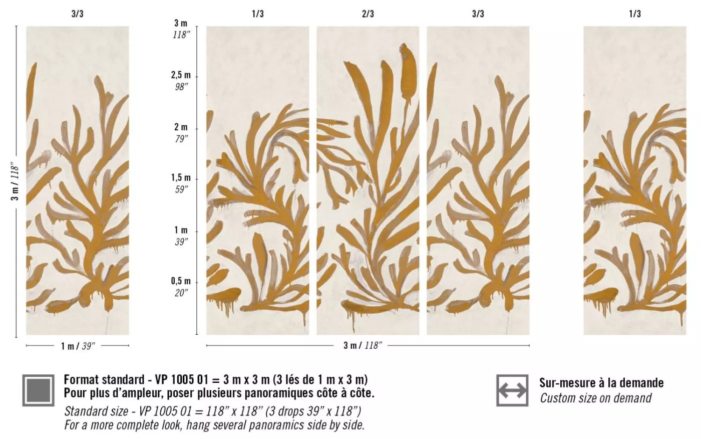 Algues dorées VP1005 01