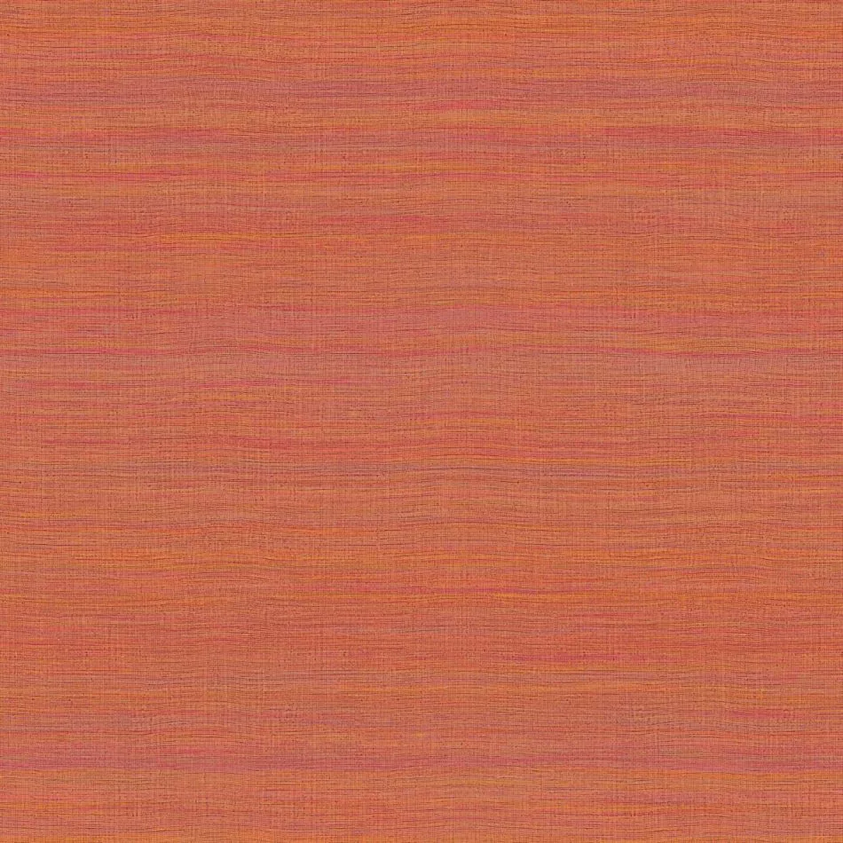 Rhéa VP1008 30 Les ailes du désir