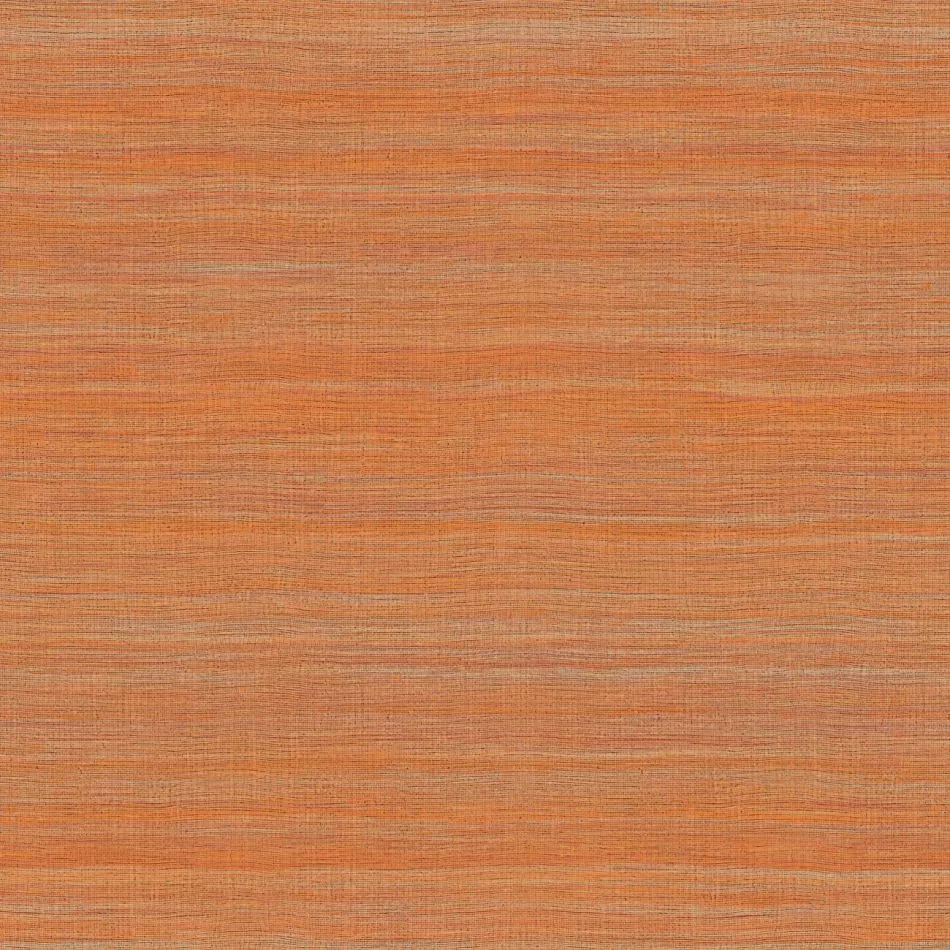 Rhéa VP1008 36 Sur les bords du Nil