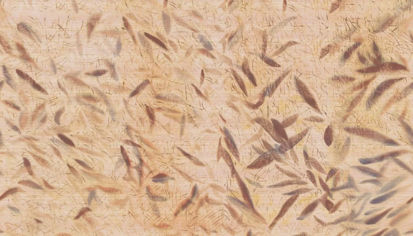 Ballet VP1014 01 D'un battement d'ailes