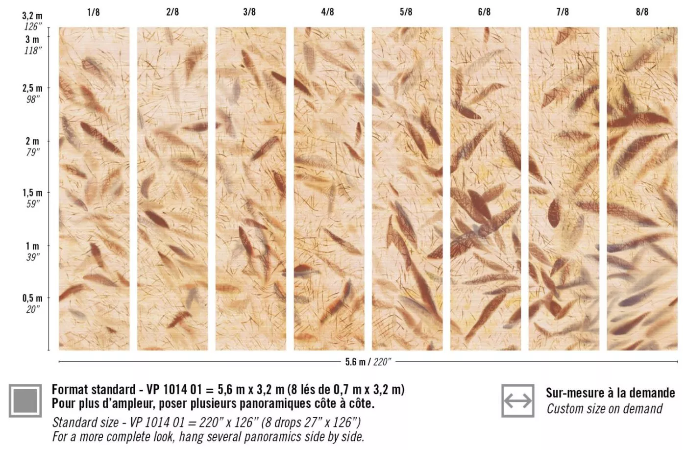 Ballet VP1014 01 D'un battement d'ailes