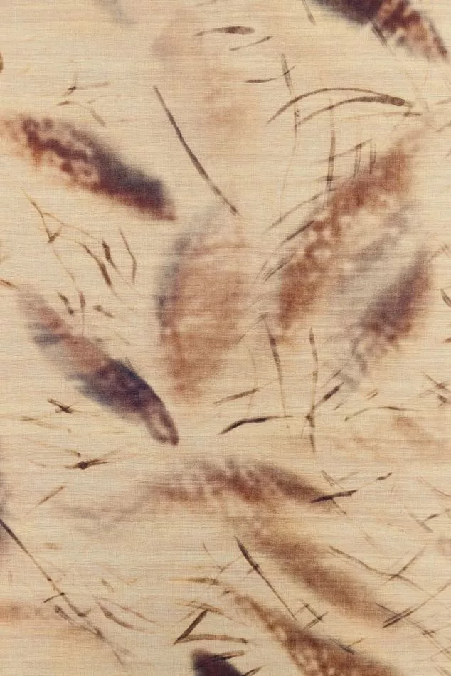 Ballet VP1014 01 D'un battement d'ailes