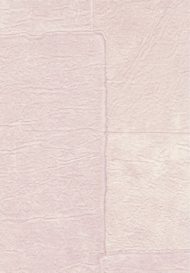 Preview: Sangpi VP1018 50