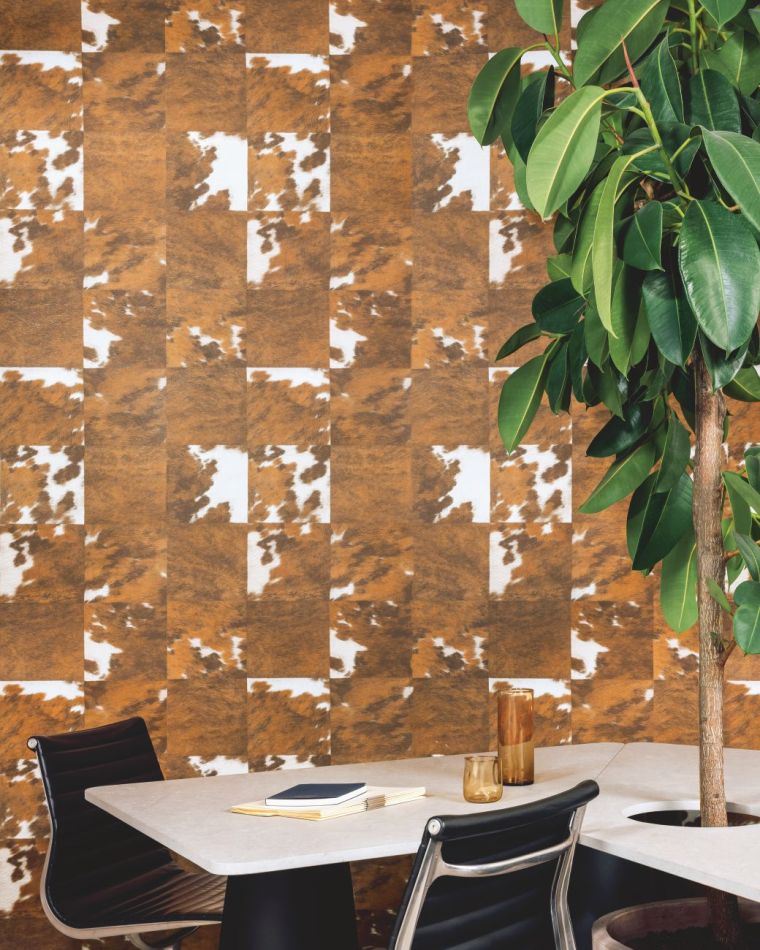 Preview: Veracruz VP629 06