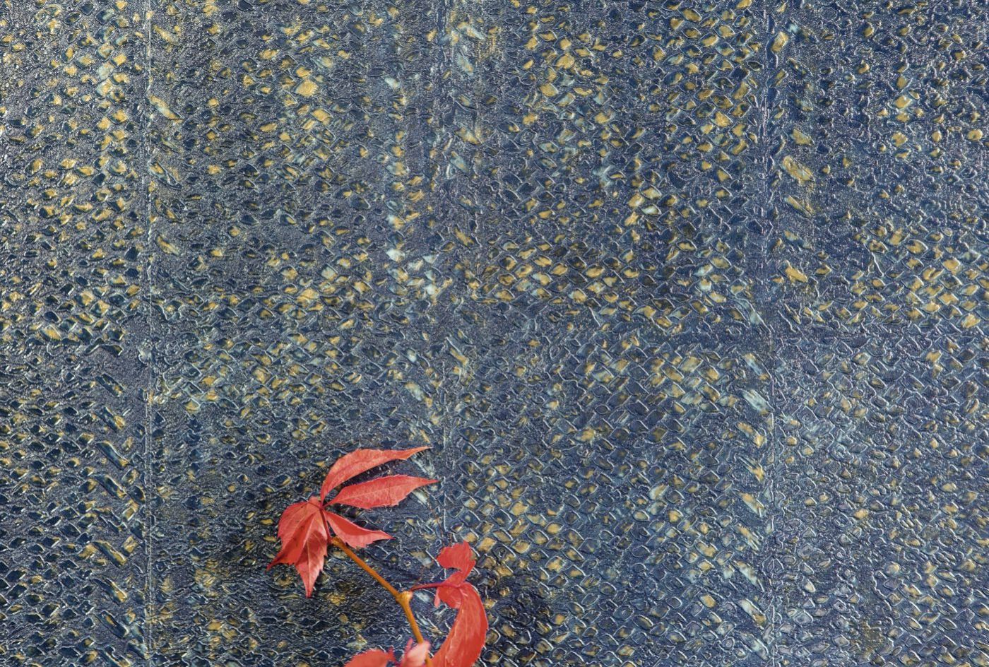 Preview: Laca salvaje VP916 12