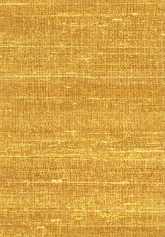 Kosa silk VP928 21 Ebloui la ville