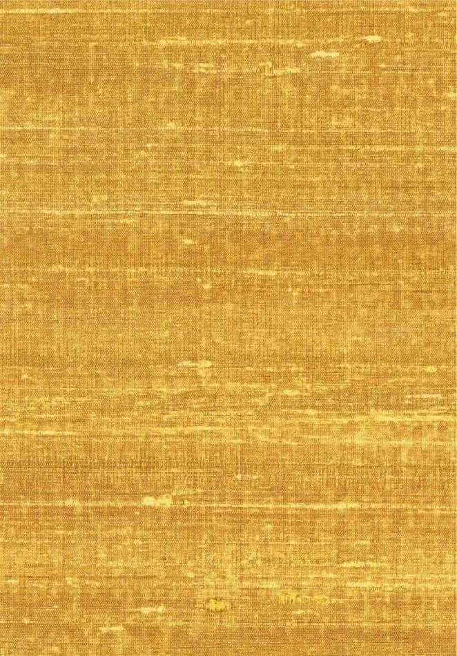 Kosa silk VP928 21 Ebloui la ville