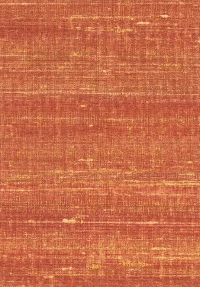 Kosa silk VP928 30 Etreindre le monde