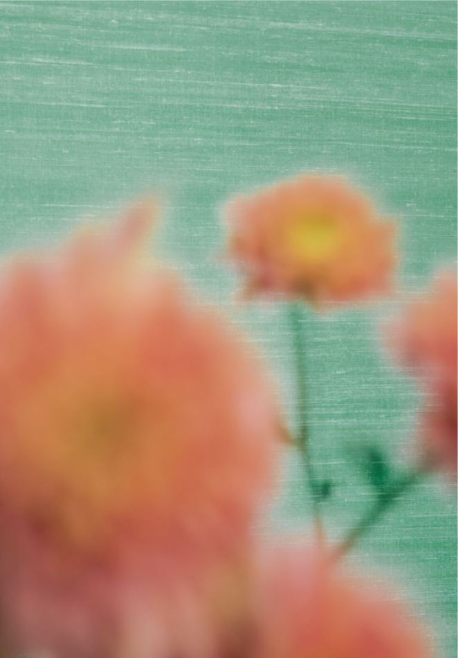 Preview: Kosa silk VP928 43 En quête d'intimité