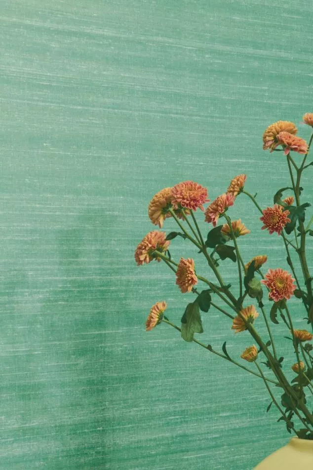 Kosa silk VP928 43 En quête d'intimité