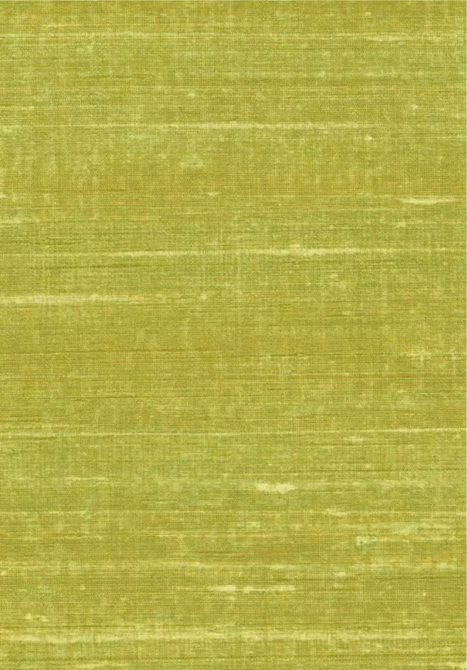 Kosa silk VP928 63 Déjeuner sur l'herbe