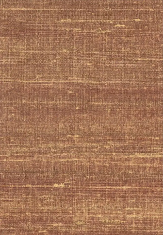Kosa silk VP928 70 Bercé de lumière
