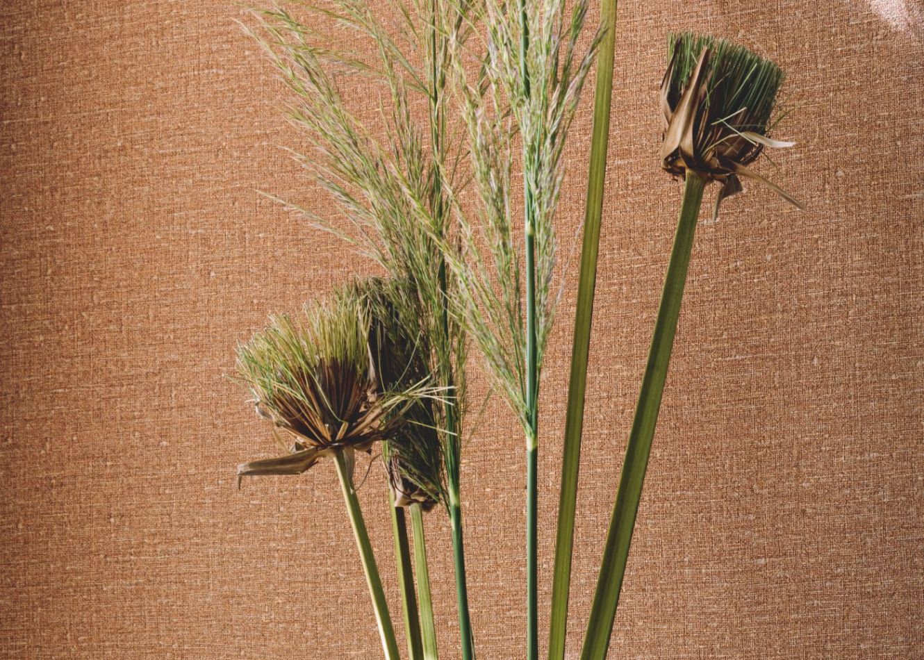 Preview: Lin VP953 17