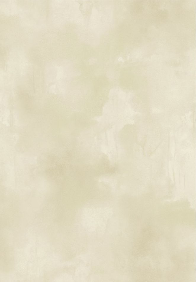 Preview: Agrigente VP960 08