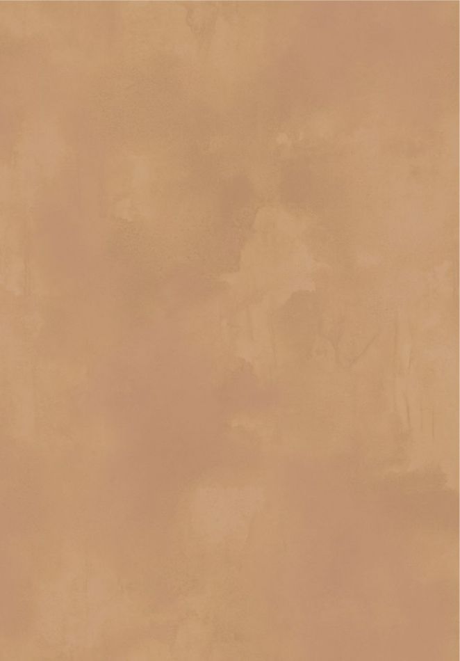 Preview: Agrigente VP960 71