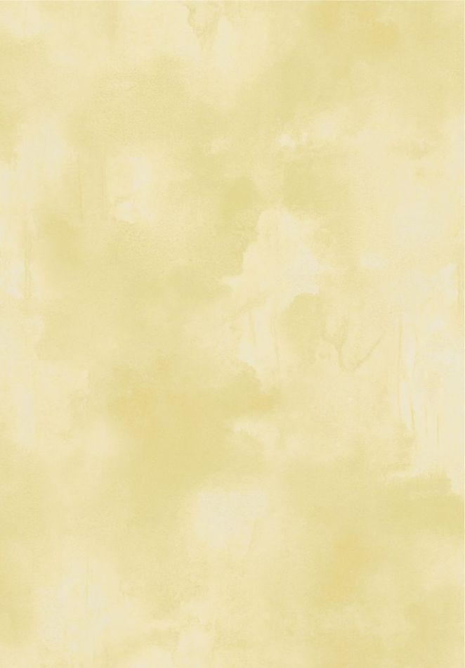 Preview: Agrigente VP960 86