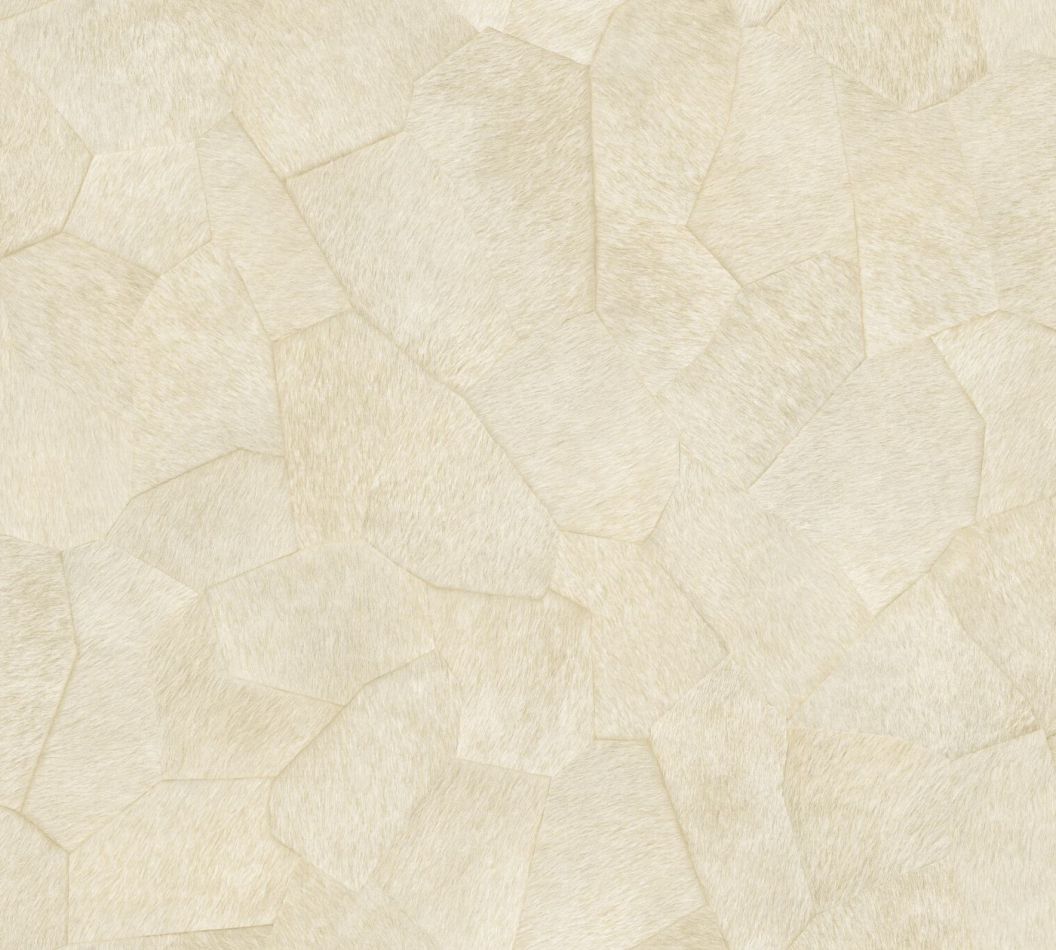 Preview: Pampa VP967 01