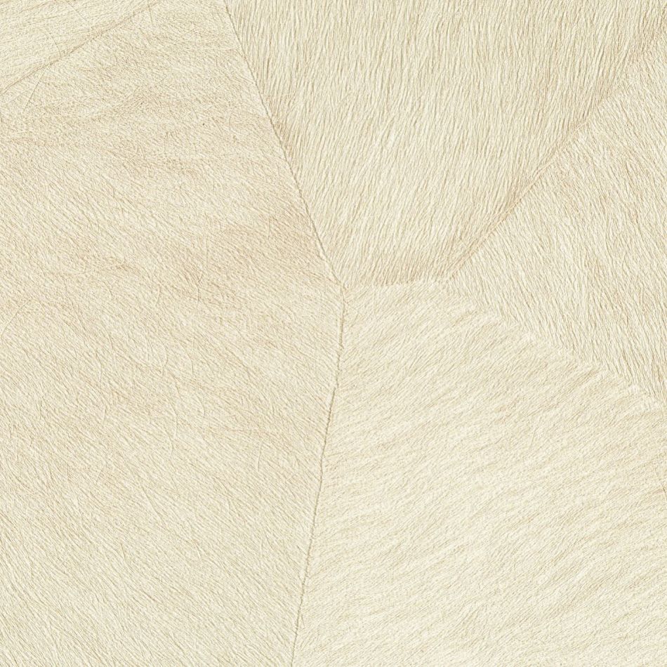 Preview: Pampa VP967 01