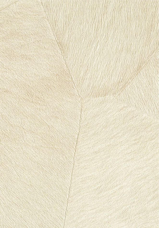 Preview: Pampa VP967 01