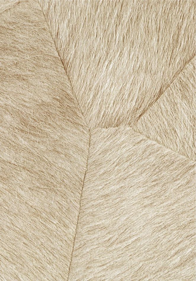 Preview: Pampa VP967 02