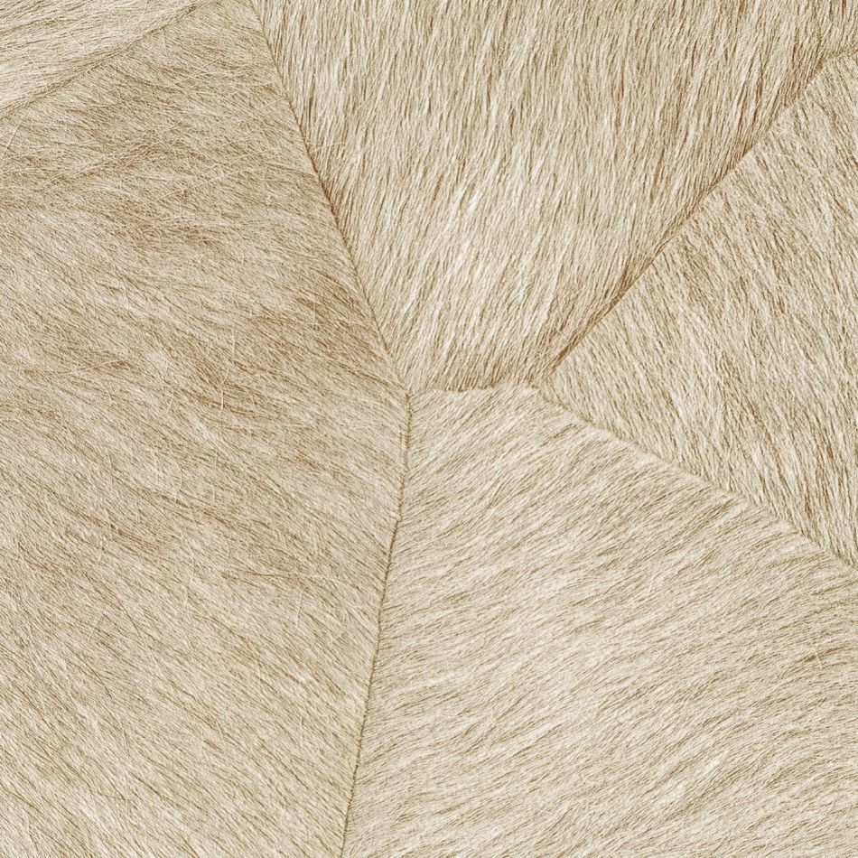 Preview: Pampa VP967 02