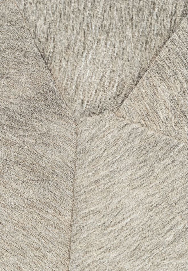 Preview: Pampa VP967 04