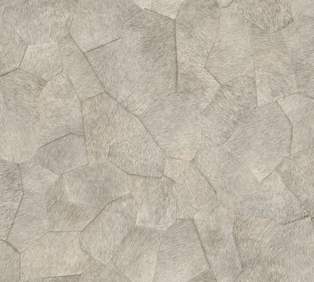 Preview: Pampa VP967 04