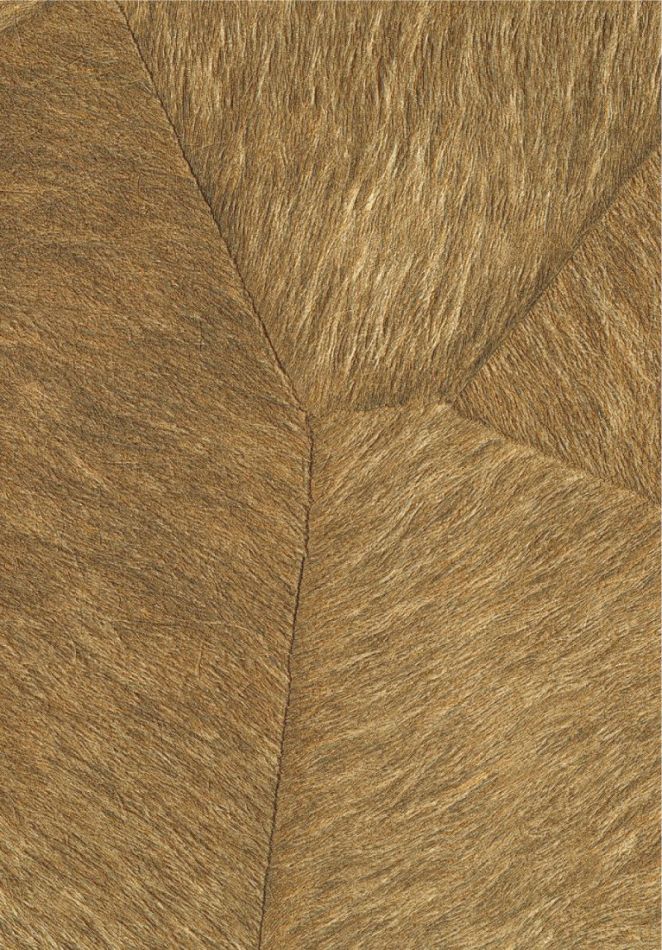 Preview: Pampa VP967 15